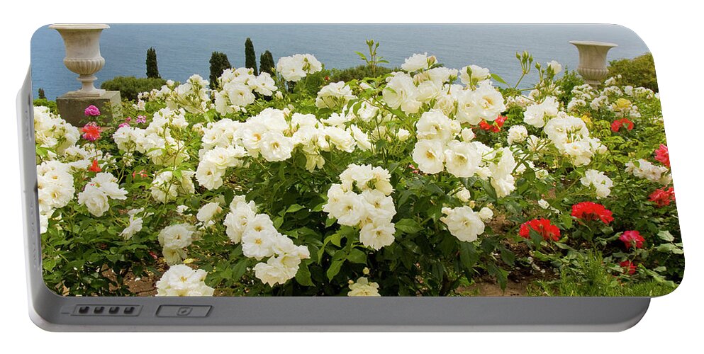 White Portable Battery Charger featuring the photograph White roses in garden on sea coast by Irina Afonskaya