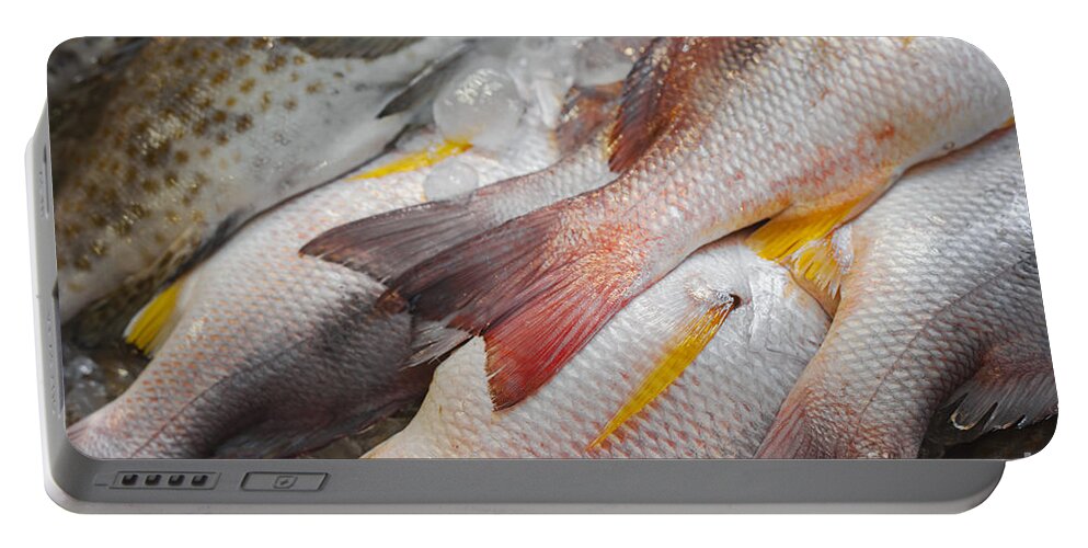 Thai Portable Battery Charger featuring the photograph White snapper fish by Sophie McAulay