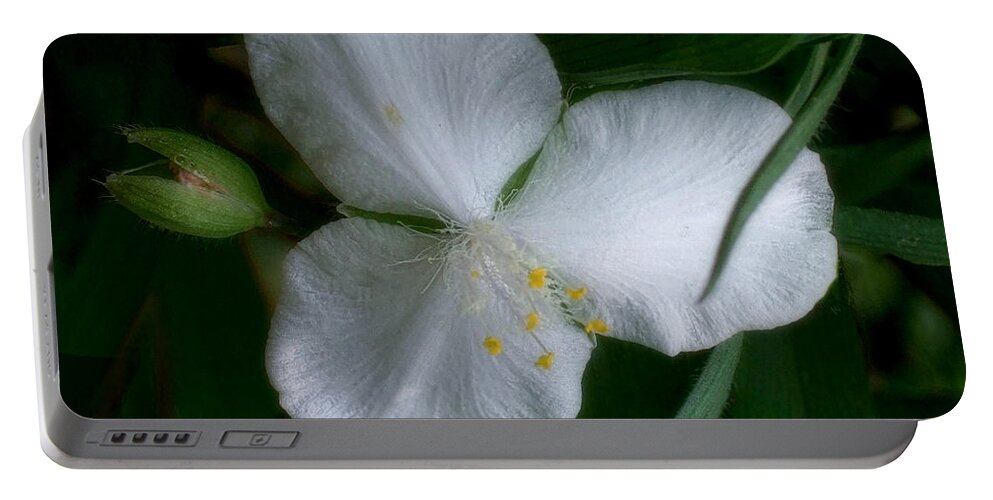 Spiderwort Portable Battery Charger featuring the photograph White Spiderwort Blossom by Louise Kumpf
