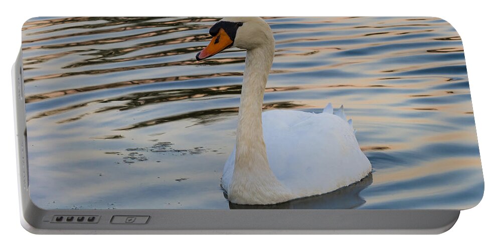 Brackish Portable Battery Charger featuring the photograph White Swan by Ed Gleichman