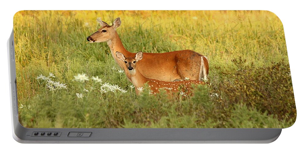 Nature Portable Battery Charger featuring the photograph White-Tail Doe and Fawn in Meadow by Sheila Brown