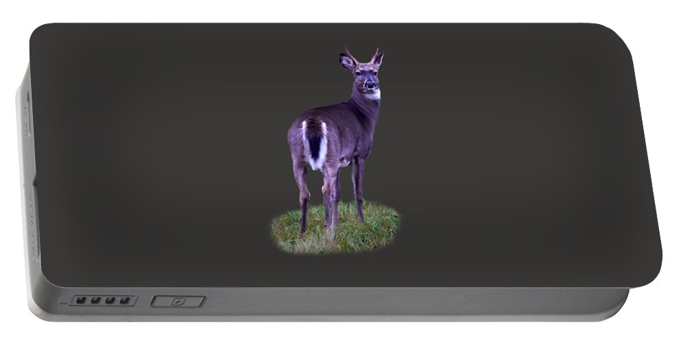Finland Portable Battery Charger featuring the photograph White tail transparent by Jouko Lehto