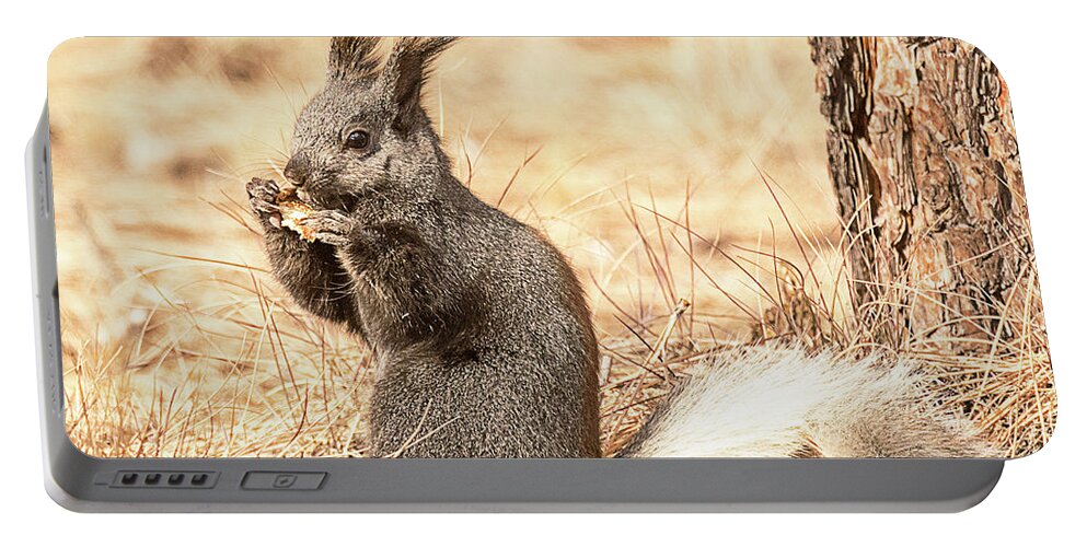 Mammal Portable Battery Charger featuring the photograph White Tailed Kaibab Squirrel by Dennis Hammer