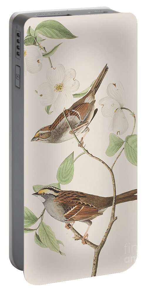 Audubon Portable Battery Charger featuring the painting White throated Sparrow by John James Audubon