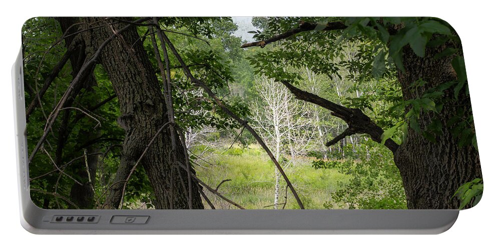 Forest Portable Battery Charger featuring the photograph White Tree in Magic Forest by Lynn Hansen