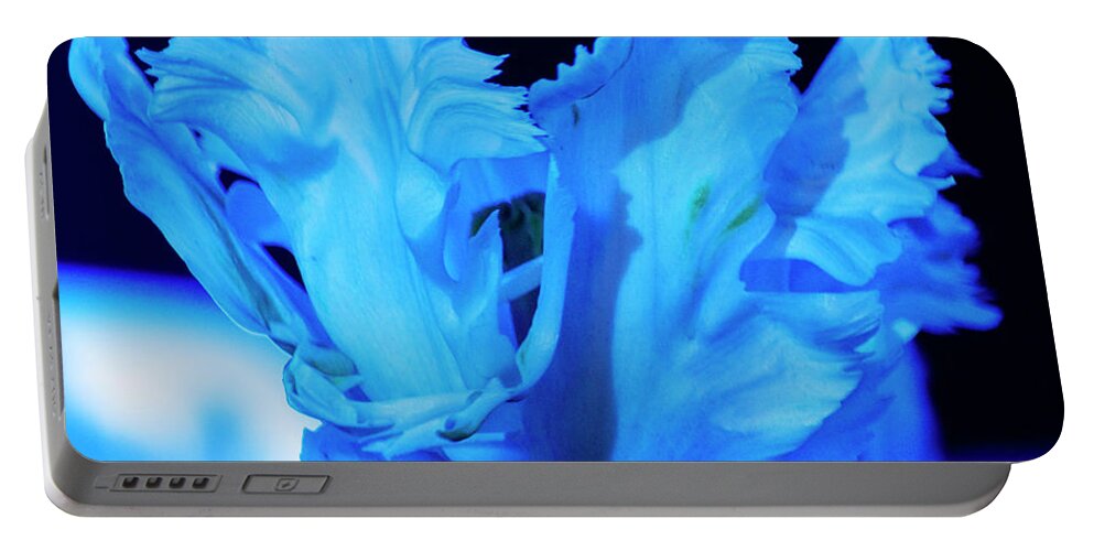 Nightfest Portable Battery Charger featuring the photograph White Tulip - Blue by Angela DeFrias