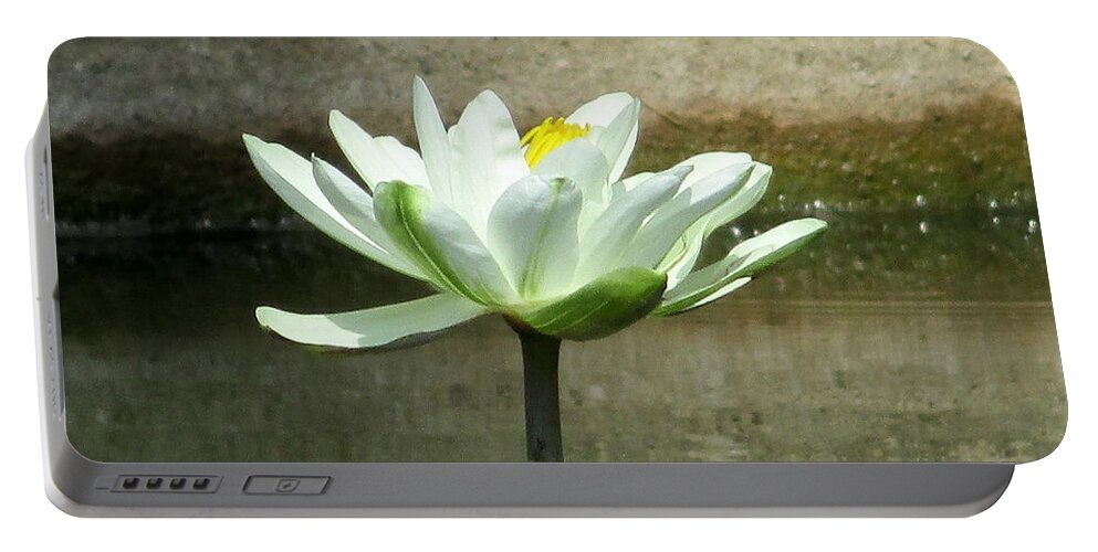 White Water Lilly Portable Battery Charger featuring the photograph White Water Lily 2 by Randall Weidner