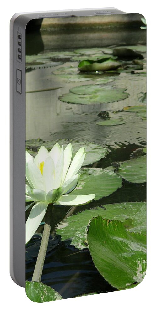White Water Lilly Portable Battery Charger featuring the photograph White Water Lily 3 by Randall Weidner