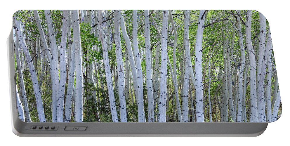 Forest Portable Battery Charger featuring the photograph White Wilderness by James BO Insogna
