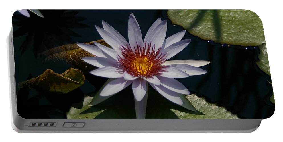 White Portable Battery Charger featuring the photograph White, Yellow and Red Lotus Waterlily by Jackie Irwin