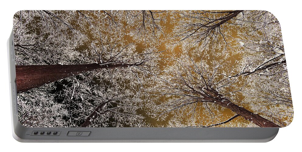Oak Portable Battery Charger featuring the photograph Whiteout by Tony Beck