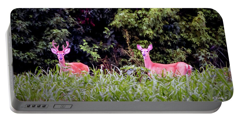 2d Portable Battery Charger featuring the photograph Whitetail Buck and Doe by Brian Wallace