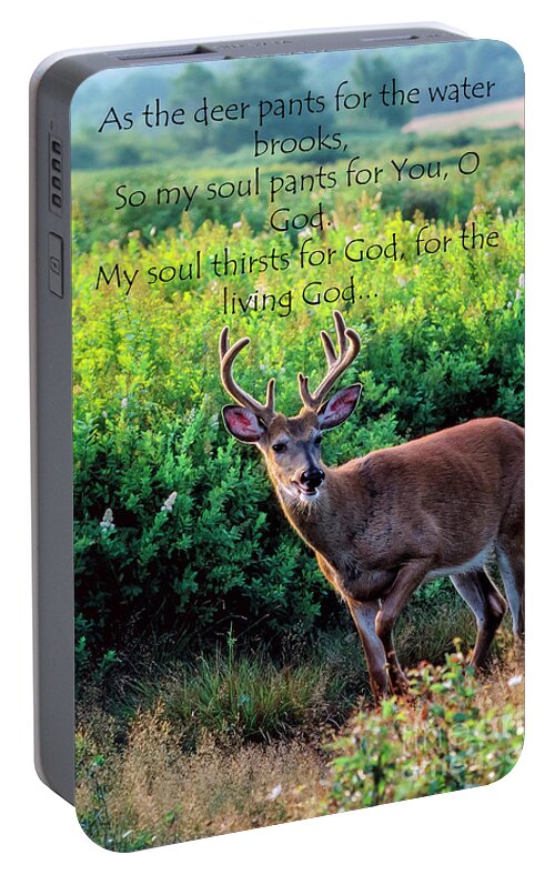 Whitetail Deer Portable Battery Charger featuring the photograph Whitetail Deer Panting by Thomas R Fletcher