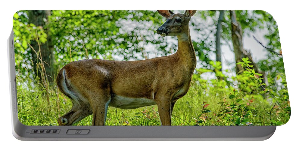 Whitetail Deer Portable Battery Charger featuring the photograph Whitetail Deer by Thomas R Fletcher