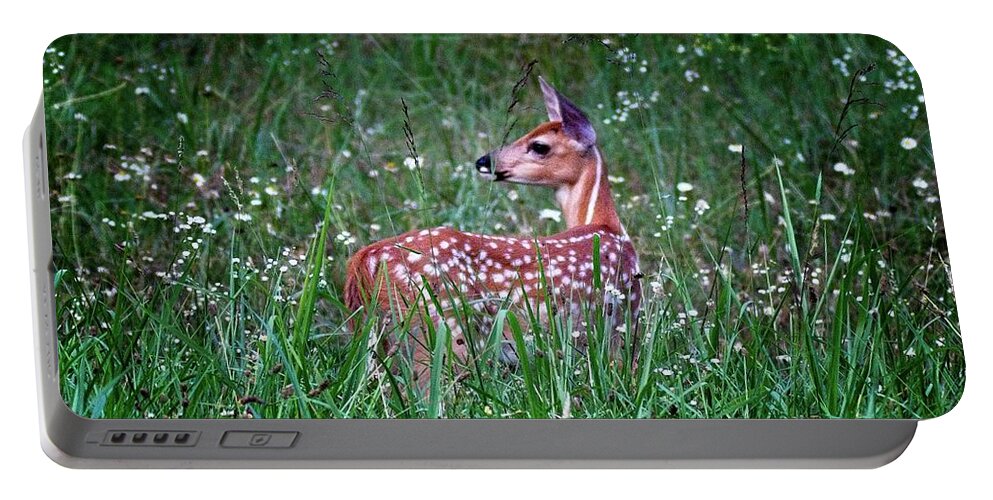 Whitetail Portable Battery Charger featuring the photograph Whitetail Fawn by Ronald Lutz