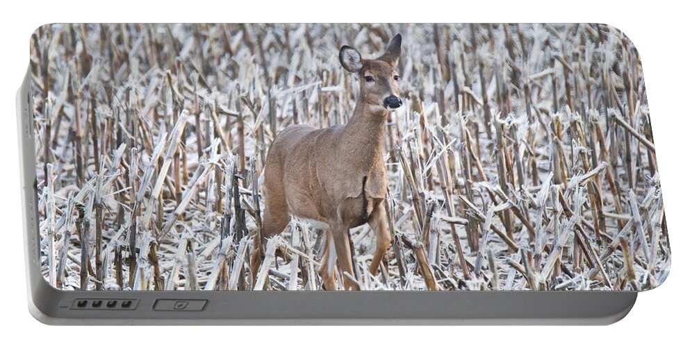 Deer Portable Battery Charger featuring the photograph Whitetail in Frosted Corn 537 by Michael Peychich
