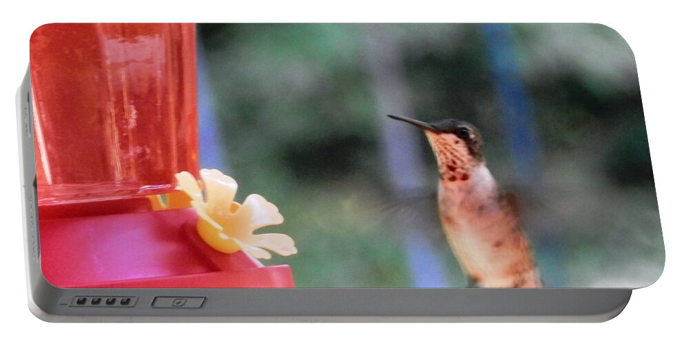 #time To #enjoy The #nectar Of #god My #hummingbird #friend #red #yellow #hungry Portable Battery Charger featuring the photograph WHOA Hummingbird by Belinda Lee