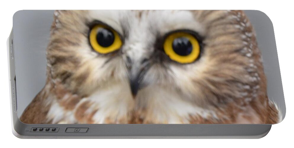 Owls Portable Battery Charger featuring the photograph Whoo me by Charles HALL