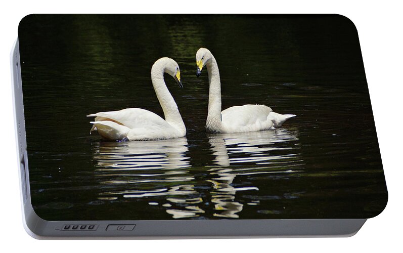 Whooper Swan Portable Battery Charger featuring the photograph Whooper Swans by Sandy Keeton
