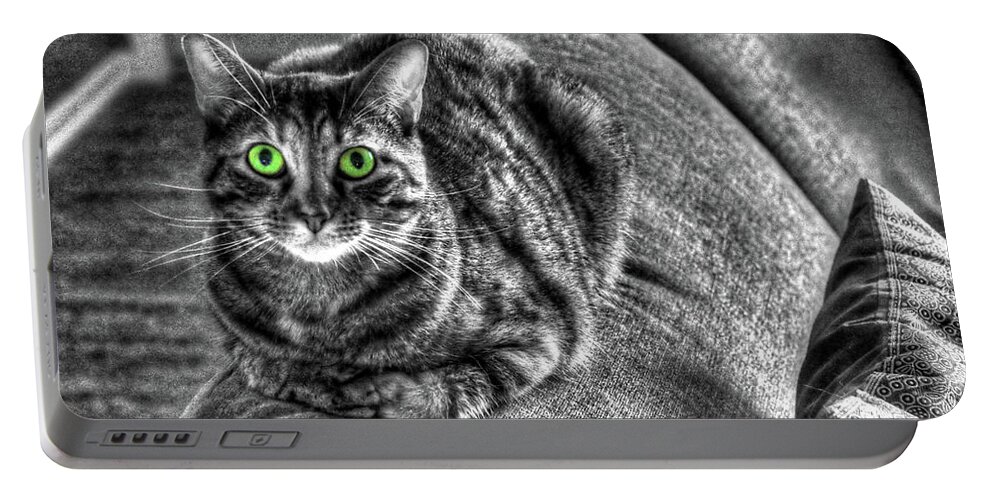 Cat Portable Battery Charger featuring the photograph Wide Eyes by J Laughlin