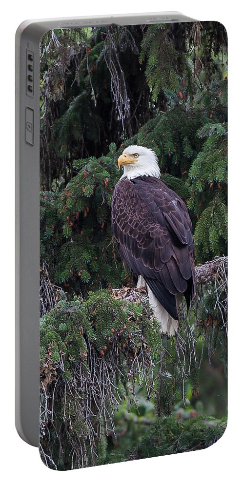 Ronnie Maum Portable Battery Charger featuring the photograph Wild and Free by Ronnie Maum