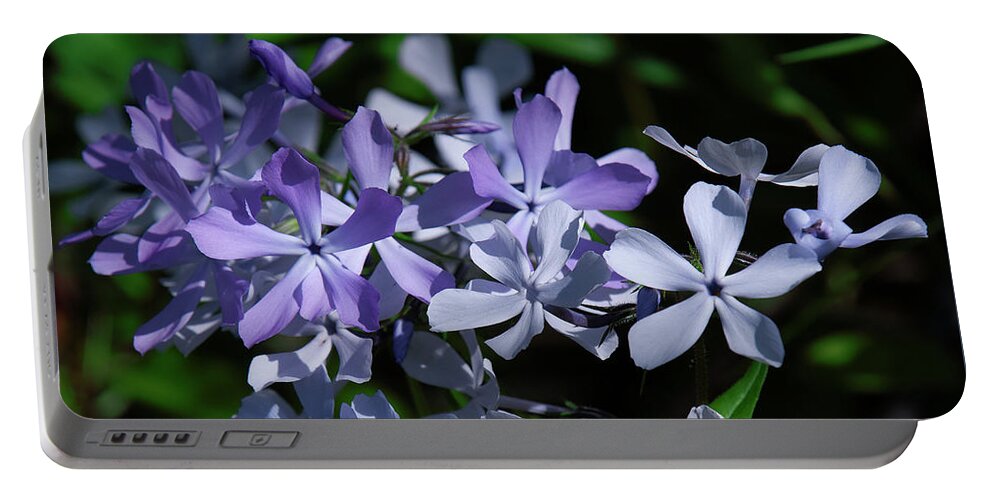 Phlox Family Portable Battery Charger featuring the photograph Wild Blue Phlox DSPF0395 by Gerry Gantt