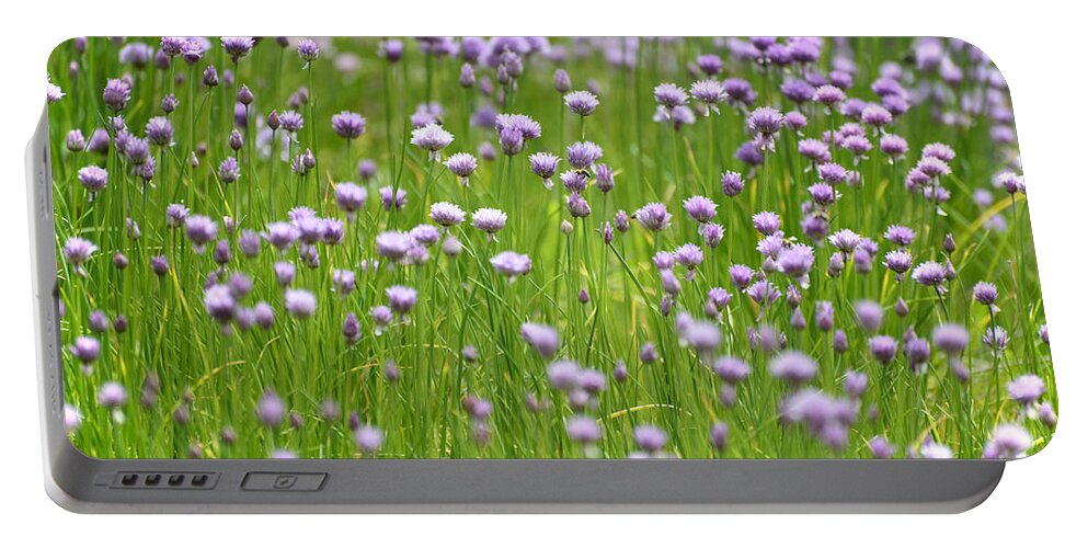 Chives Portable Battery Charger featuring the photograph Wild Chives by Chevy Fleet