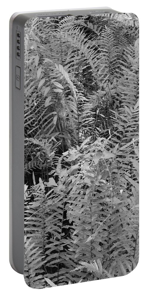 Black Portable Battery Charger featuring the photograph Wild Florida Ferns by Juergen Roth