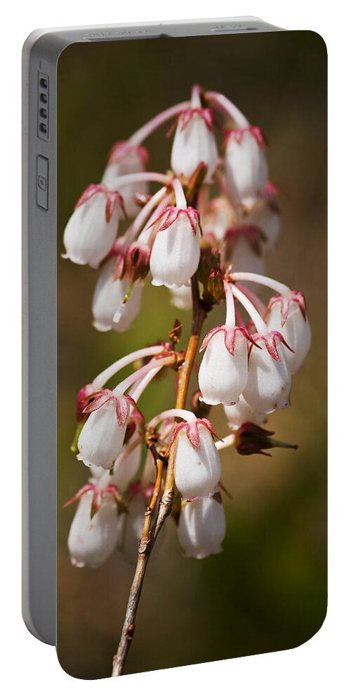 White Portable Battery Charger featuring the photograph Wild Flowers by Bob Decker