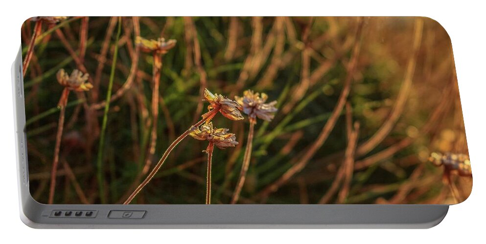 Wild Flowers Portable Battery Charger featuring the photograph Wild flowers by Claire Whatley