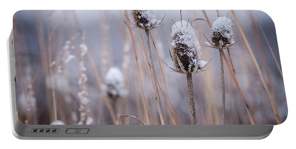 Winterpacht Portable Battery Charger featuring the photograph Wild Forests by Miguel Winterpacht