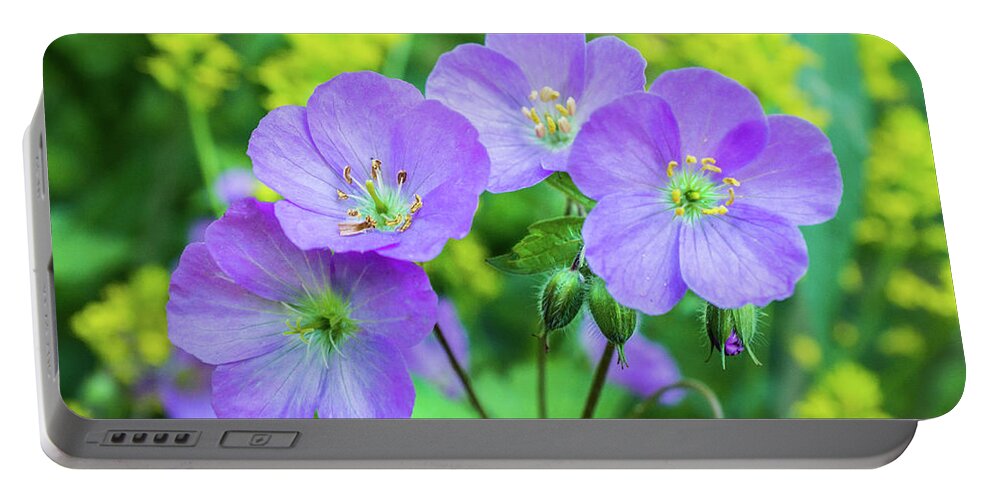 Wildflower Portable Battery Charger featuring the photograph Wild Geranium Family Portrait by Bill Pevlor