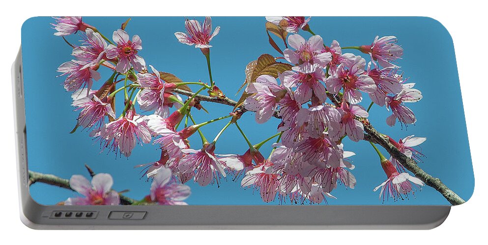 Nature Portable Battery Charger featuring the photograph Wild Himalayan Cherry DTHN0220 by Gerry Gantt