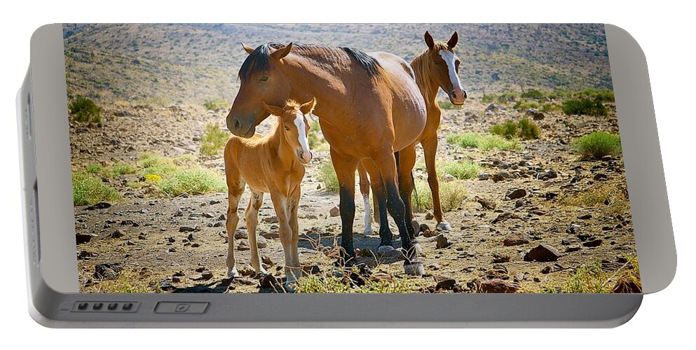 Wild Horse Family Portable Battery Charger featuring the photograph Wild Horse Family by Maria Jansson