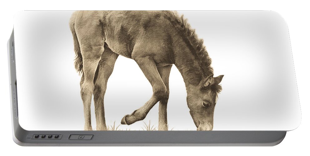 Wild Horse Grazing Portable Battery Charger featuring the photograph Wild Horse Grazing by Priscilla Burgers