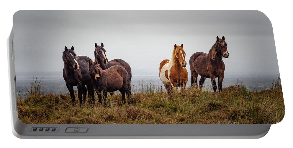 Ireland Portable Battery Charger featuring the photograph Wild horses in Ireland by Juergen Klust