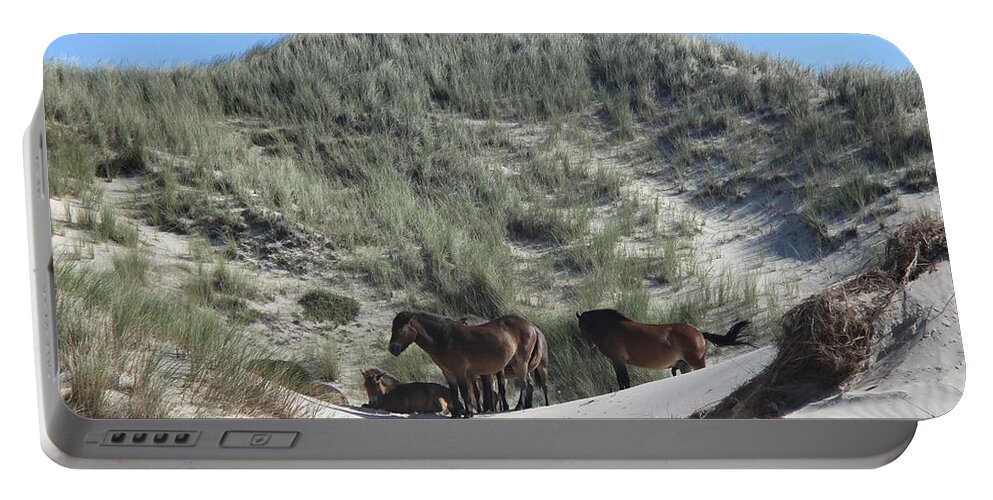 Noordhollandse Duinreservaat Portable Battery Charger featuring the photograph Wild horses in the Noordhollandse duinreservaat by Chani Demuijlder