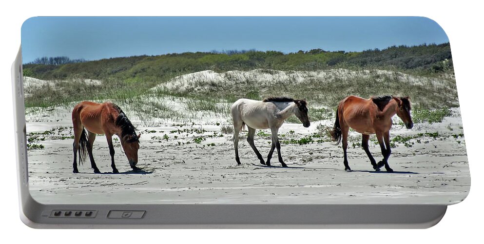 Wild Horse Portable Battery Charger featuring the photograph Wild Horses On The Beach by D Hackett