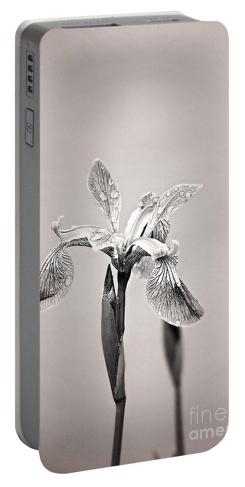 Wild Iris Photo Portable Battery Charger featuring the photograph Wild Iris Black and White Print by Gwen Gibson