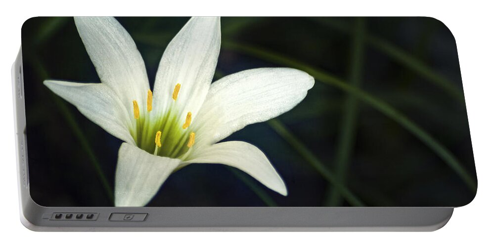 Lily Portable Battery Charger featuring the photograph Wild Lily by Carolyn Marshall