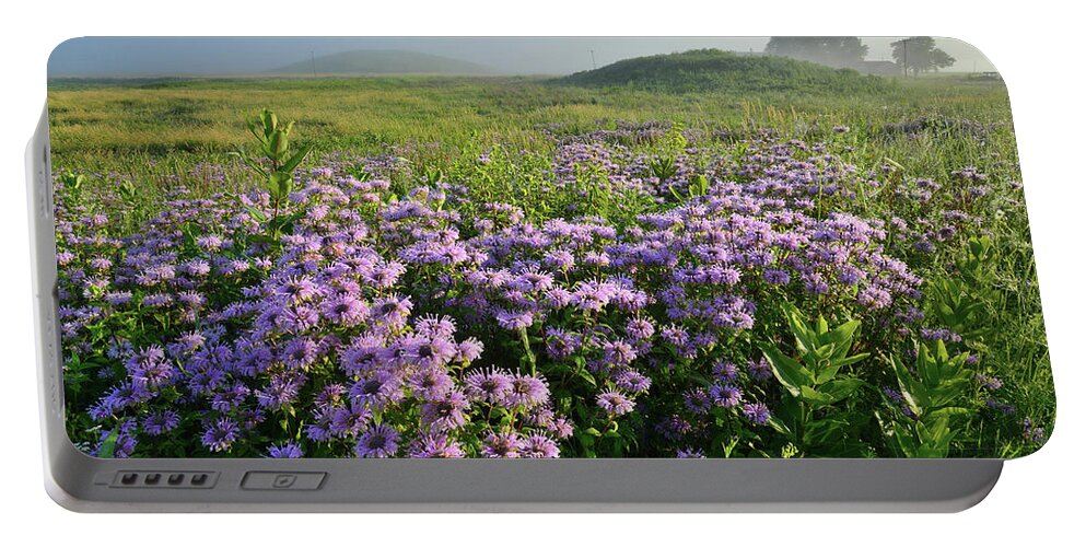 Black Eyed Susan Portable Battery Charger featuring the photograph Wild Mints Galore in Glacial Park by Ray Mathis