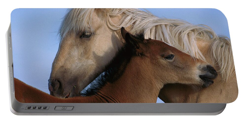 00340033 Portable Battery Charger featuring the photograph Wild Mustang Filly and Foal by Yva Momatiuk and John Eastcott