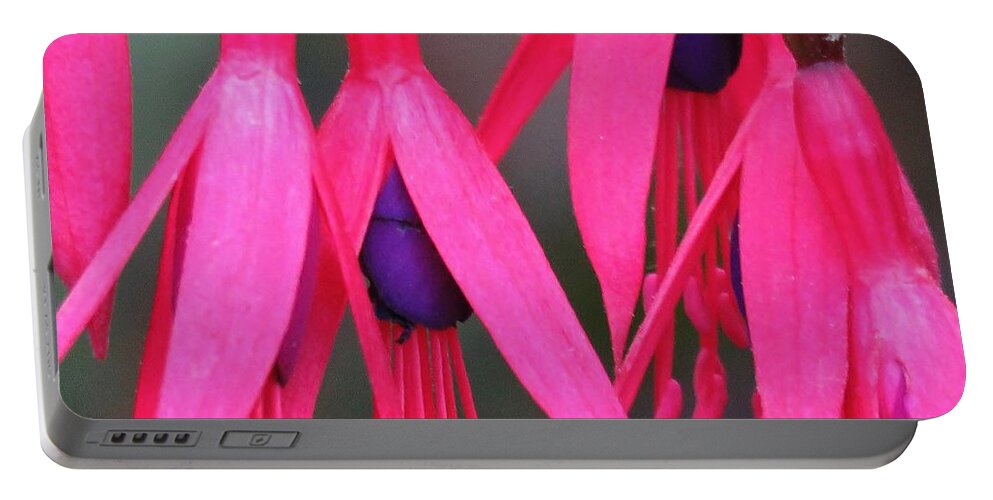 Fuchsia Portable Battery Charger featuring the photograph Wild Oregon Fuchsia by Michele Penner