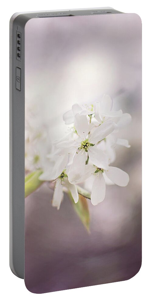 Wild Plum Tree Blossom Portable Battery Charger featuring the photograph Wild Plum Tree Blossom by Gwen Gibson