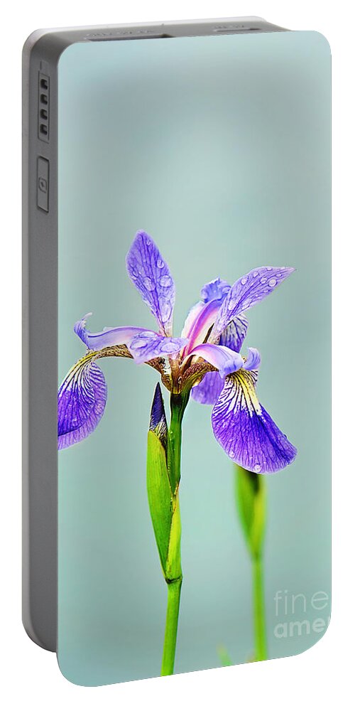 Wild Iris Photo Portable Battery Charger featuring the photograph Wild Purple Iris Print by Gwen Gibson