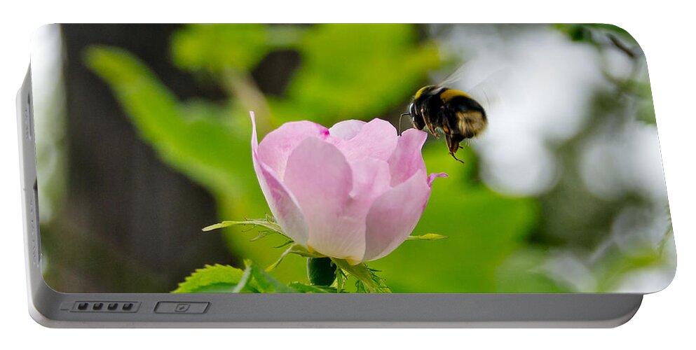 Wild Roses Portable Battery Charger featuring the photograph Wild Roses. Allegro Moderato. by Elena Perelman