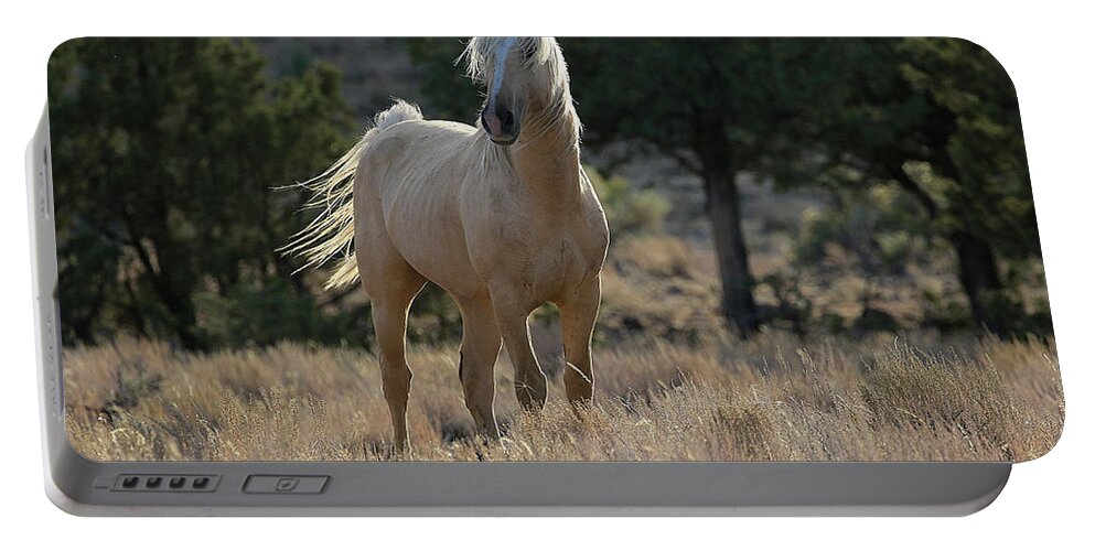 Wild Stallion Portable Battery Charger featuring the photograph Wild Stallion of The Steens by Steve McKinzie