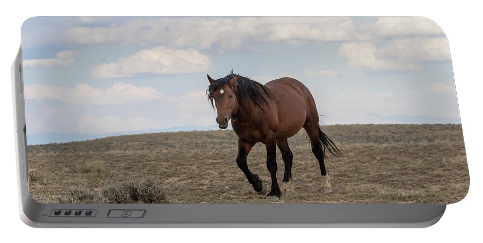 Stallion Portable Battery Charger featuring the photograph Wild Stallion by Ronnie And Frances Howard
