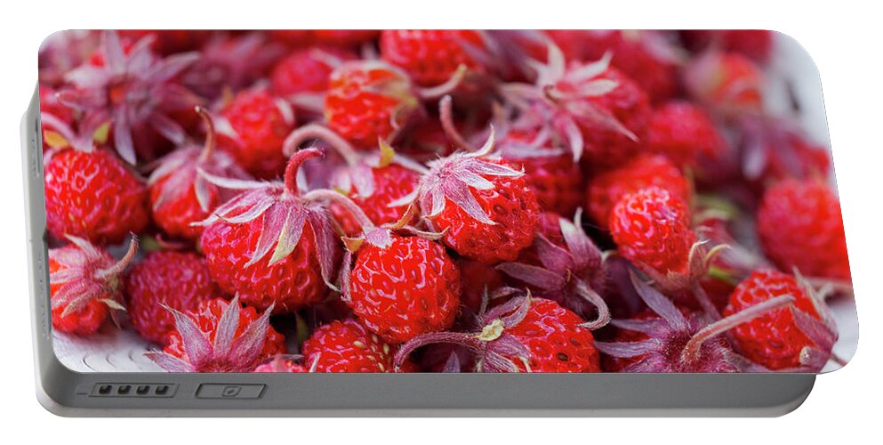 Virginia Strawberry Portable Battery Charger featuring the photograph Wild strawberry by Mircea Costina Photography