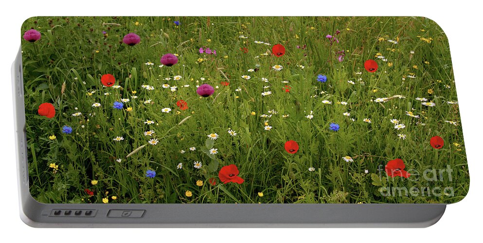 Summer Portable Battery Charger featuring the photograph Wild Summer Meadow by Baggieoldboy